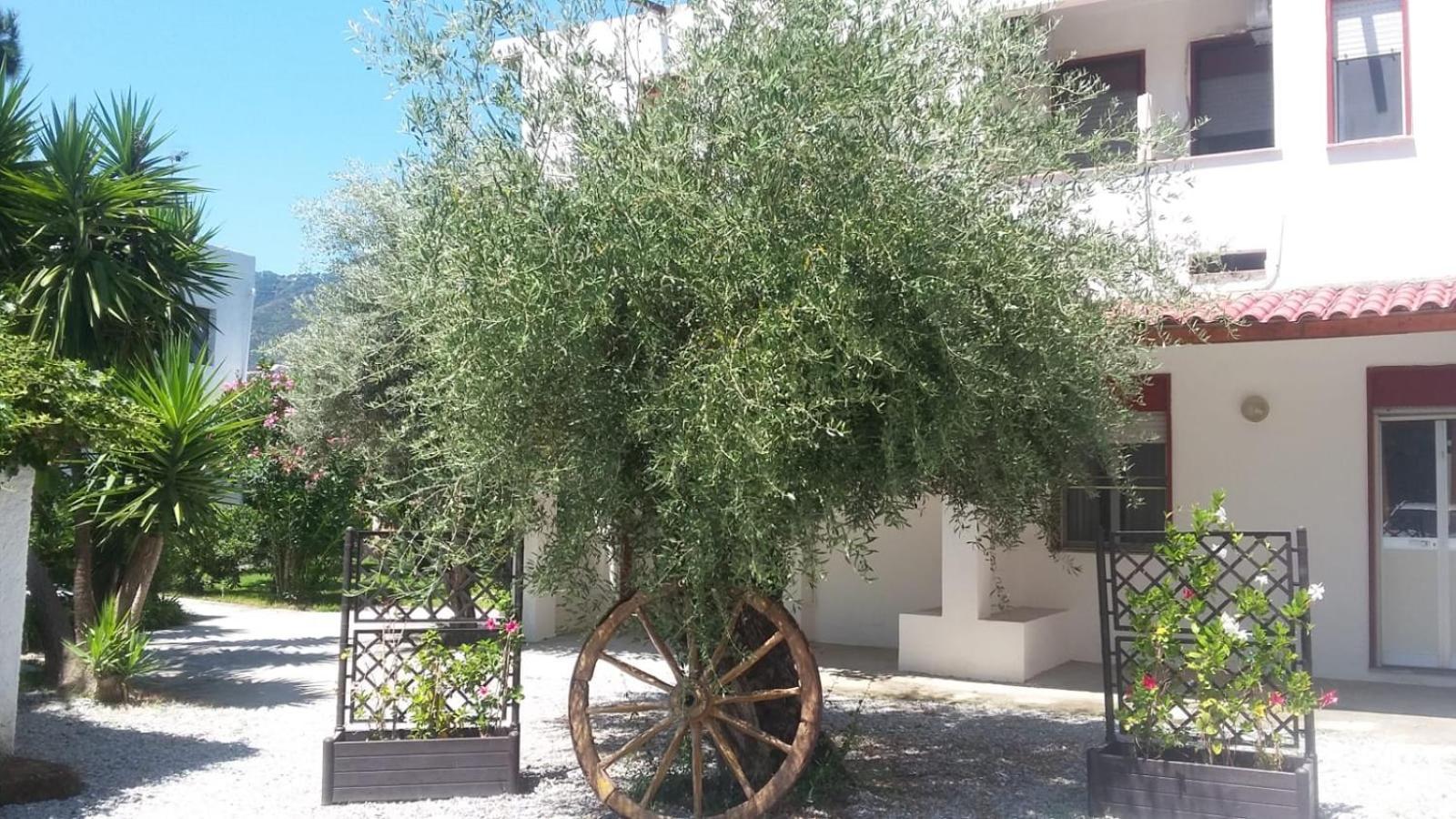 Appartamenti La Baia Del Rais فالكوني الغرفة الصورة